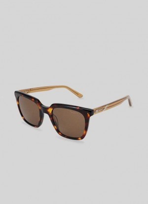 Lunette de Soleil Pepe Jeans Wayfarer Sunglasses Femme Doré | QPUYDZ487