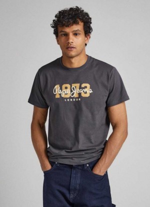 T Shirts Pepe Jeans 1973 Logo T-shirt Homme Grise | IVFAJL419