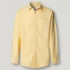 Chemise teinte en pièce, coupe classique Chemise teinte en pièce, coupe classique